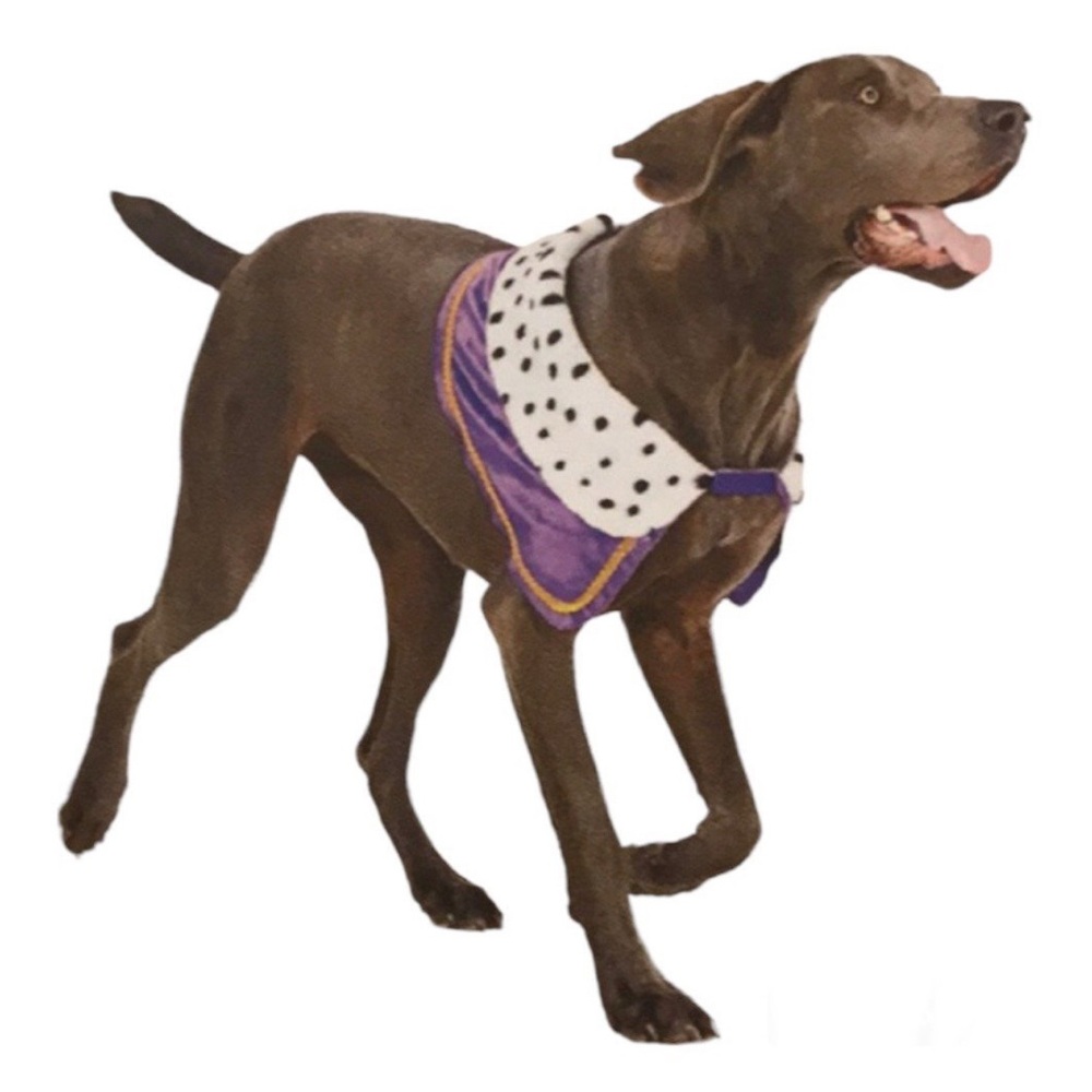 Purple and White Dog Costume